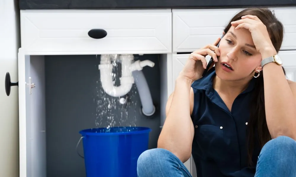 Reviving Hardwood Floors in GTA Homes After Water Damage
